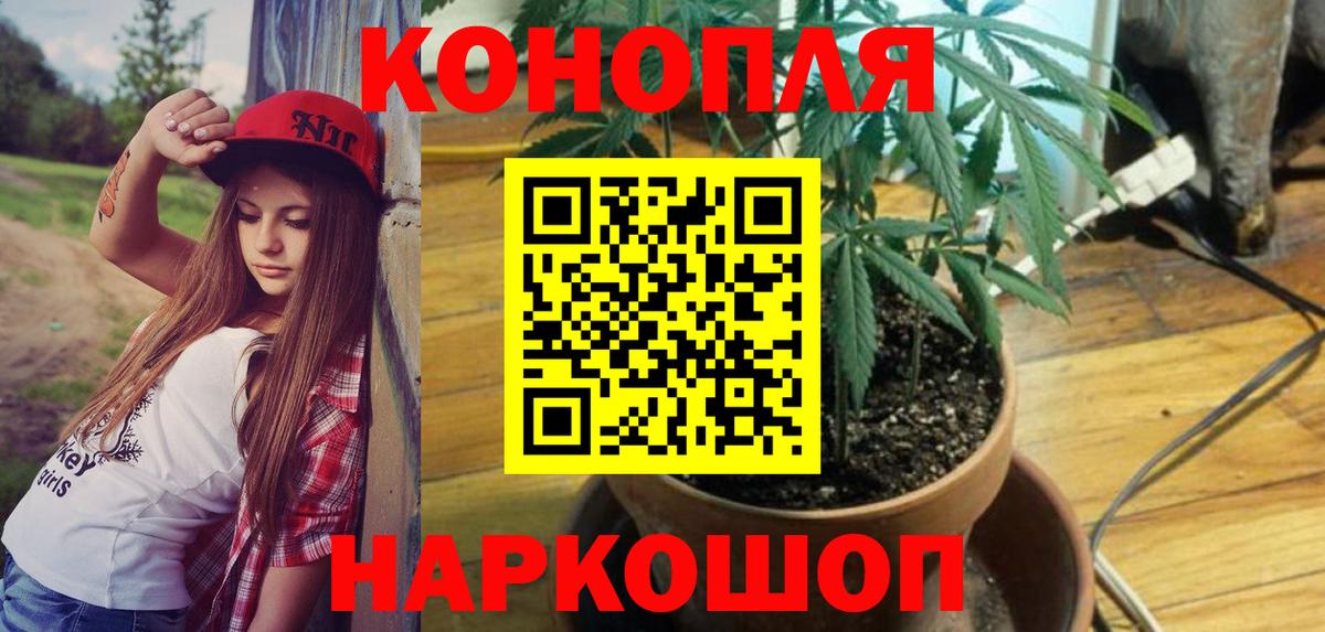 Бошки марихуана White Widow  Бошки Шишки LSD WEED  Иваново  Конопля Amnesia  Вход с VPN  МАРИХУАНА SATIVA & INDICA 